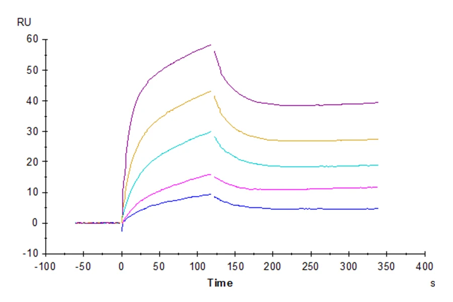 IL6-HP001 SPR result