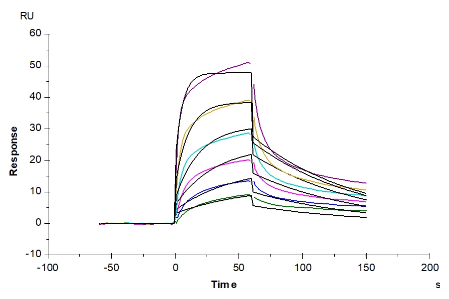 IL7-HB001 SPR result