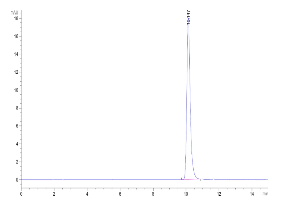 IL7-HP001 SEC-HPLC result