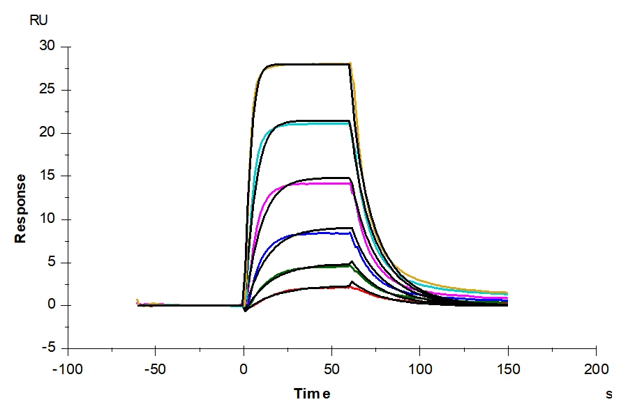 IL7-HP001 SPR result