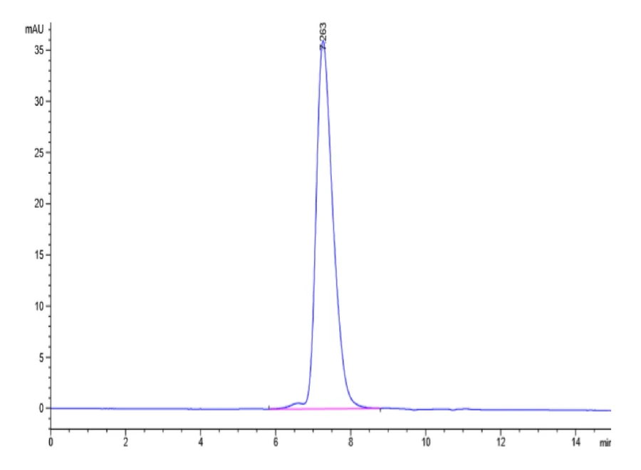 KIR2DL1-HB001 SEC-HPLC result