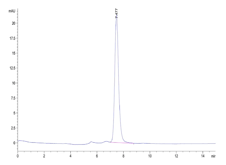 KIR3DL3-HB001 SEC-HPLC result
