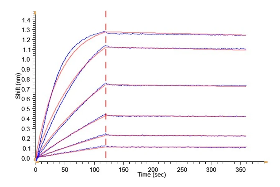 KLK2-HB001 BLI result