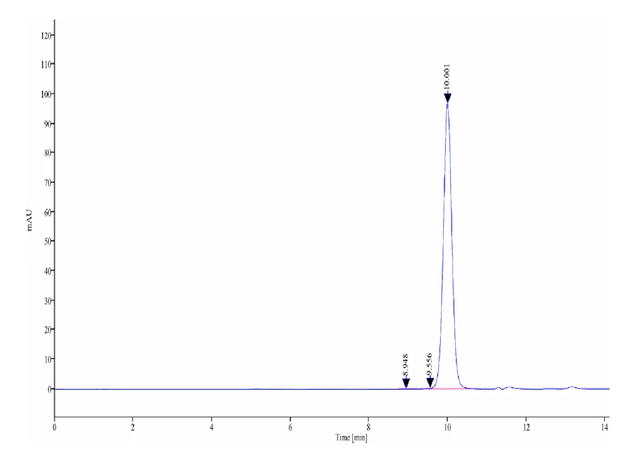 KLK2-HB001 SEC-HPLC result