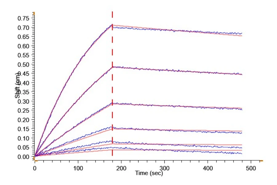 KLK7-HB002 BLI result
