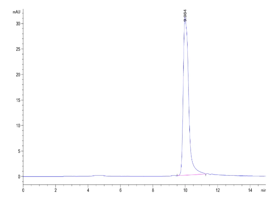 KLK7-HB002 SEC-HPLC result