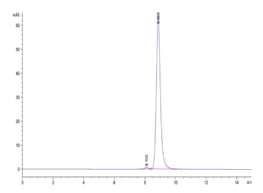 KRASG12A-HB001 SEC-HPLC result