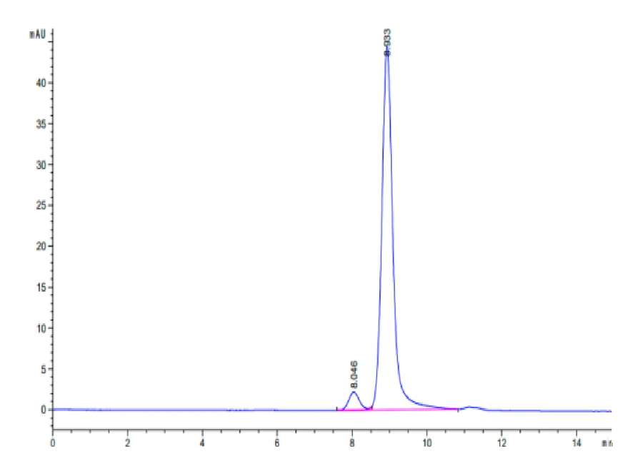KRASG12C-HB001 SEC-HPLC result