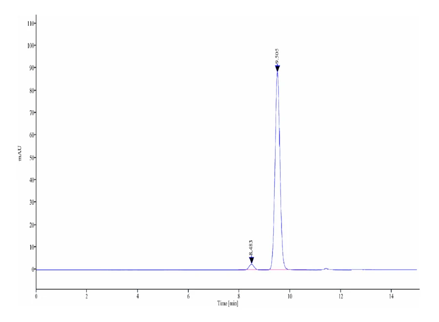 KRASG12C-HB002 SEC-HPLC result