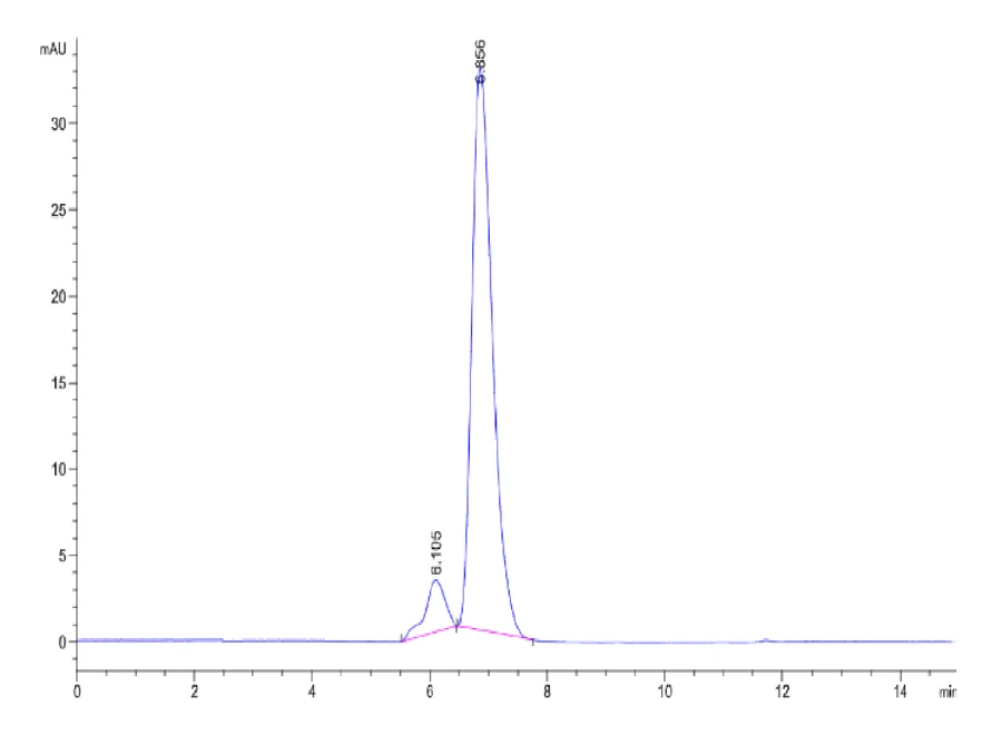 KRASG12C-HP005 SEC-HPLC result