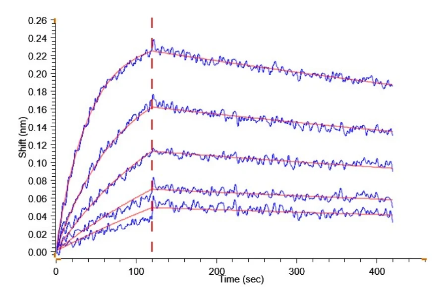 KRASG12D-HB001 BLI-2 result
