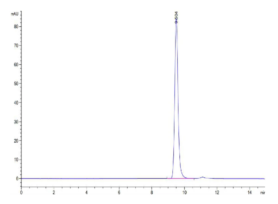 KRASG12D-HB003 SEC-HPLC result