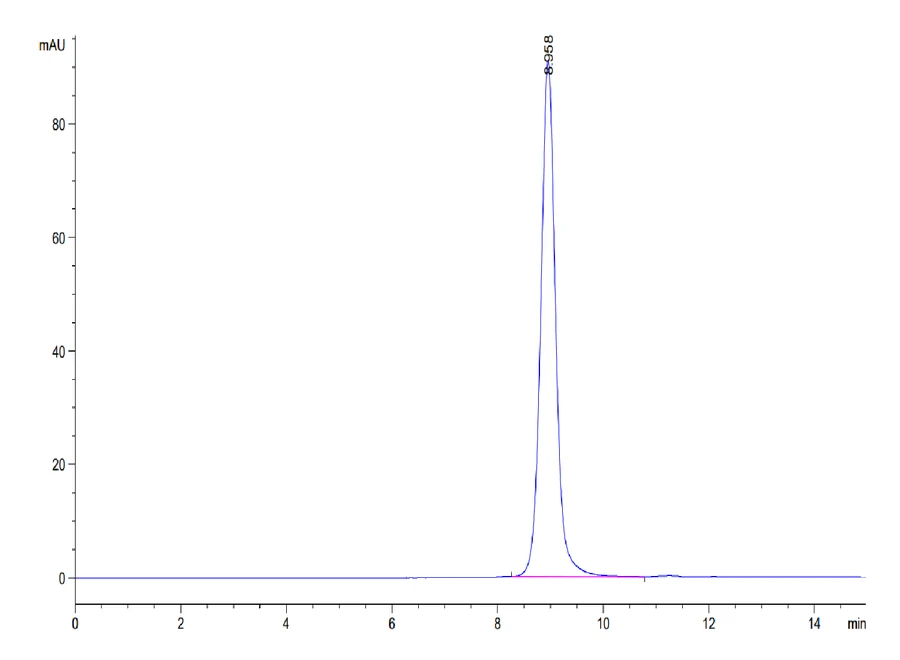 KRASG12D-HB004 SEC-HPLC result