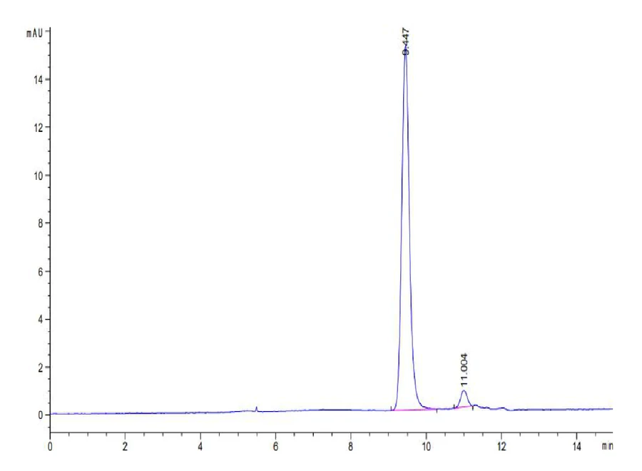 KRASG12D-HB005 SEC-HPLC result