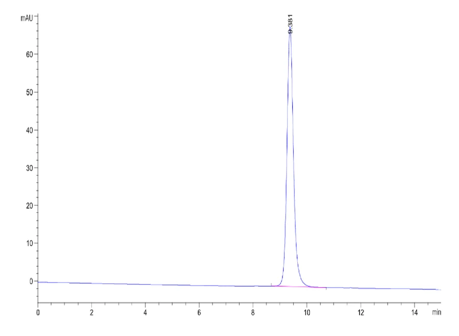 KRASG12D-HB006 SEC-HPLC result