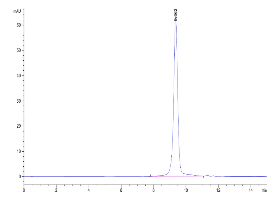 KRASG12D-HB007 SEC-HPLC result