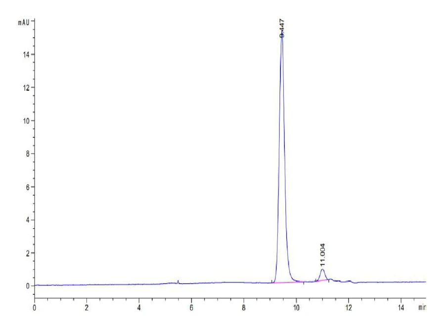 KRASG12D-HP002 SEC-HPLC result