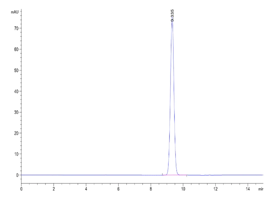 KRASG12D-HP003 SEC-HPLC result