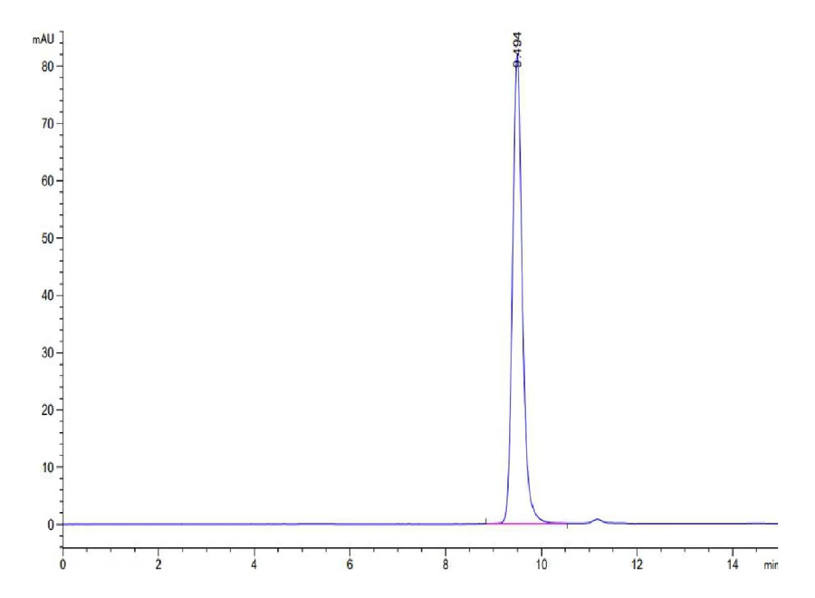 KRASG12D-HP004 SEC-HPLC result