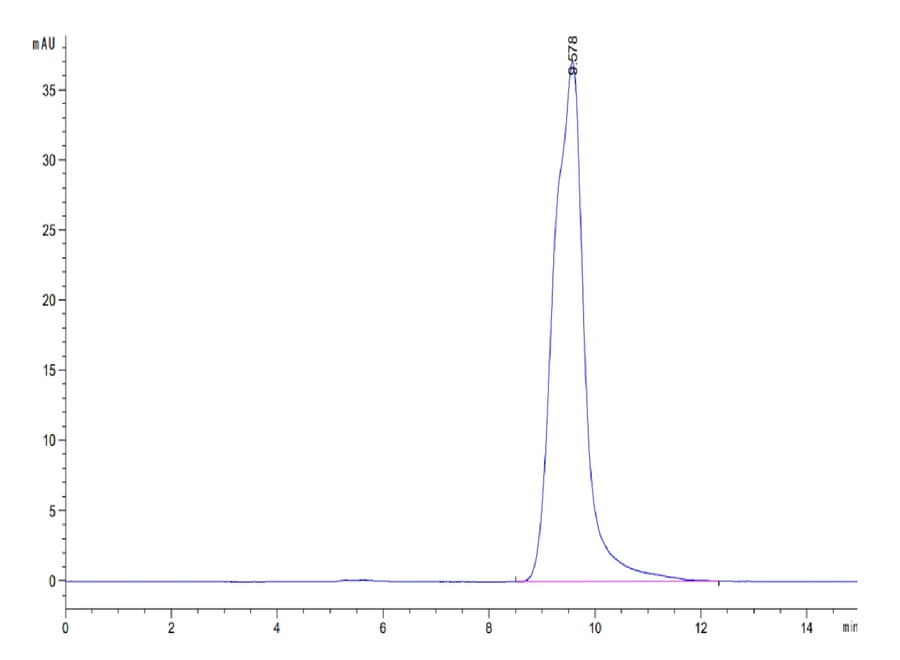 KRASG12D-HP005 SEC-HPLC result