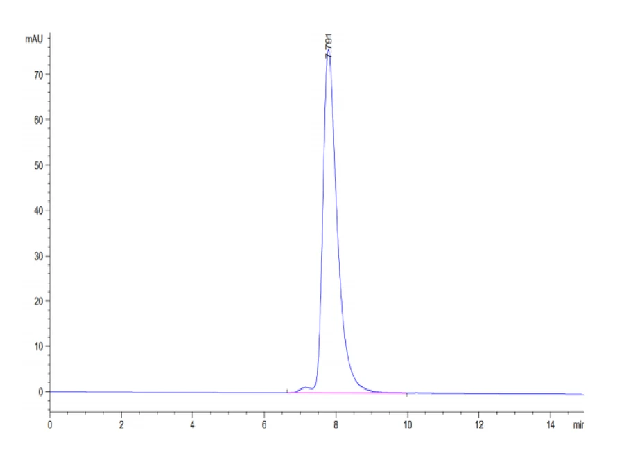 KRASG12D-HP006 SEC-HPLC result