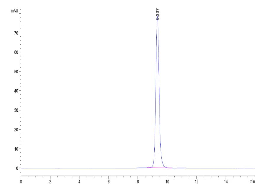 KRASG12D-HP008 SEC-HPLC result