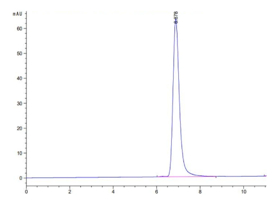 KRASG12D-HP009 SEC-HPLC result