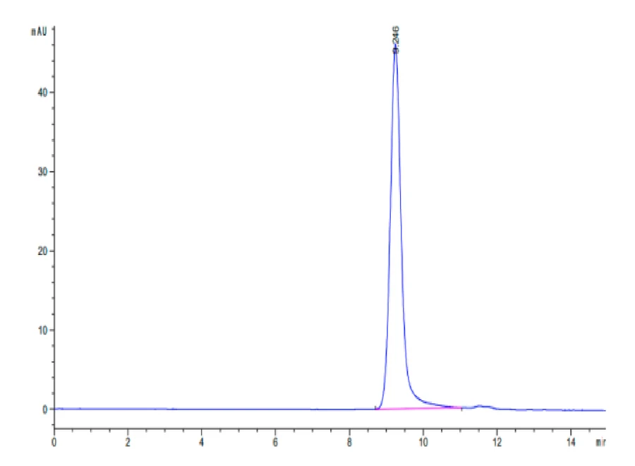 KRASG12R-HB001 SEC-HPLC result