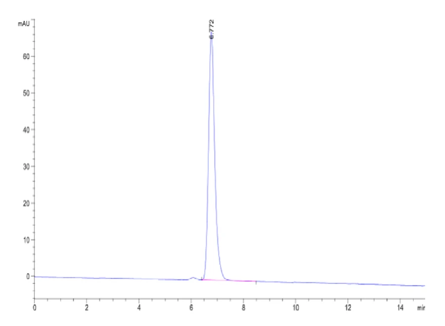 KRASG12R-HP002 SEC-HPLC result