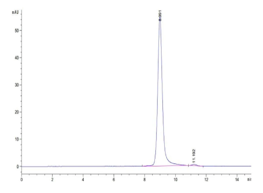 KRASG12S-HP001 SEC-HPLC result