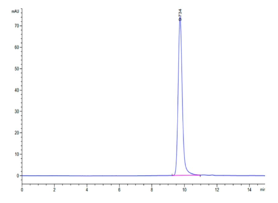 KRASG12V-HB001 SEC-HPLC result