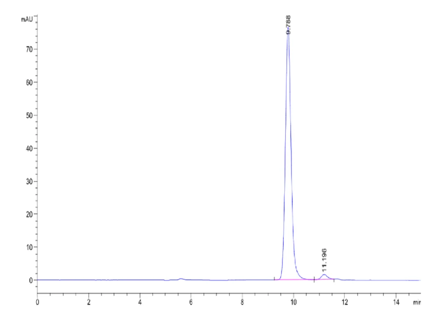 KRASG12V-HB002 SEC-HPLC result