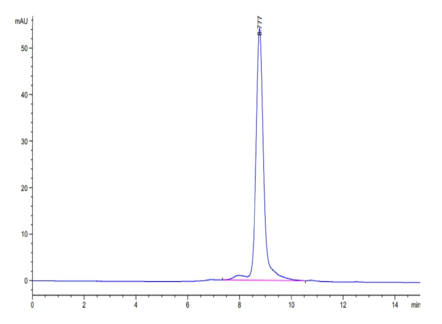 KRASG12V-HB004 SEC-HPLC result