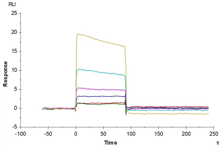 KRASG12V-HB004 SPR result