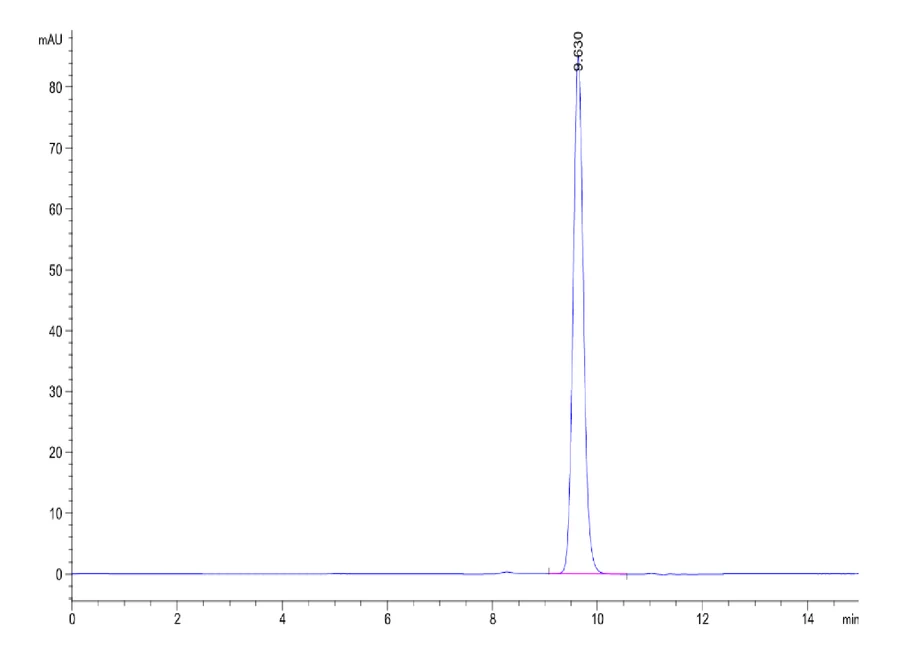 KRASG12V-HB005 SEC-HPLC result