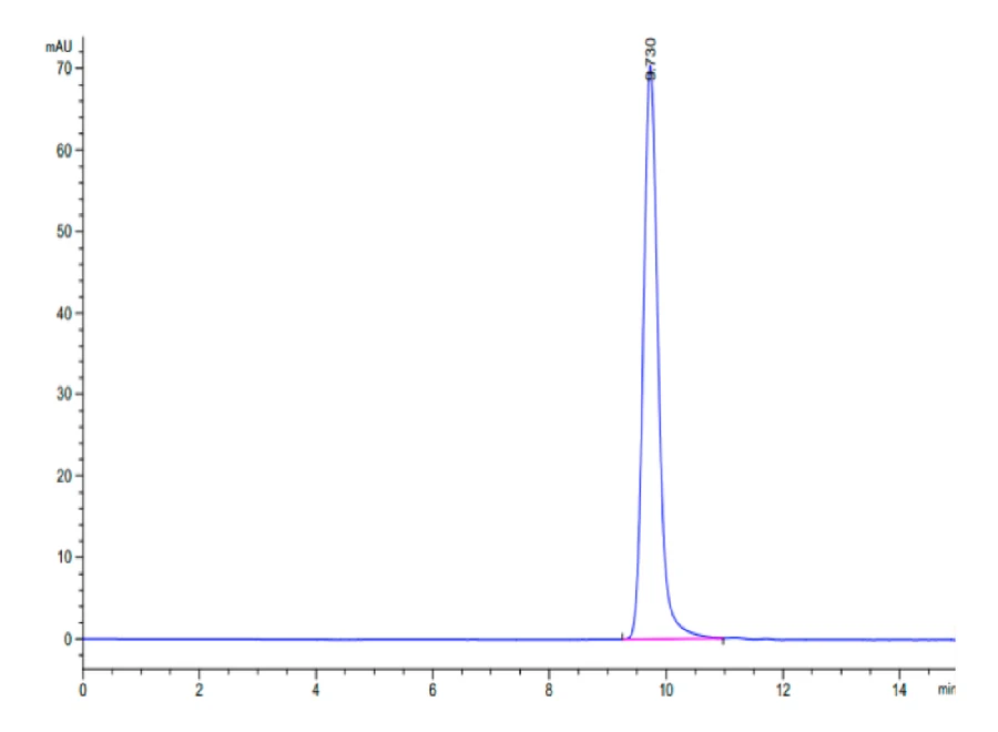 KRASG12V-HB006 SEC-HPLC result