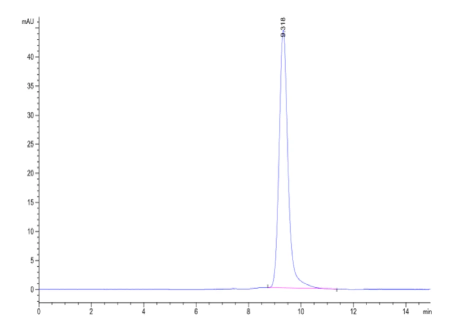 KRASG12V-HB007 SEC-HPLC result