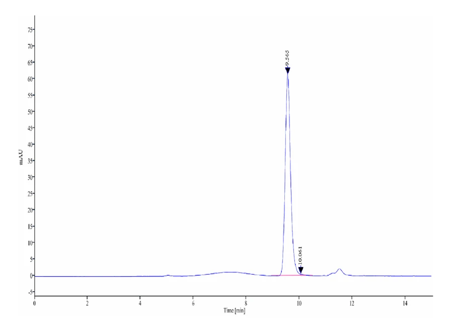 KRASG12V-HB009 SEC-HPLC result