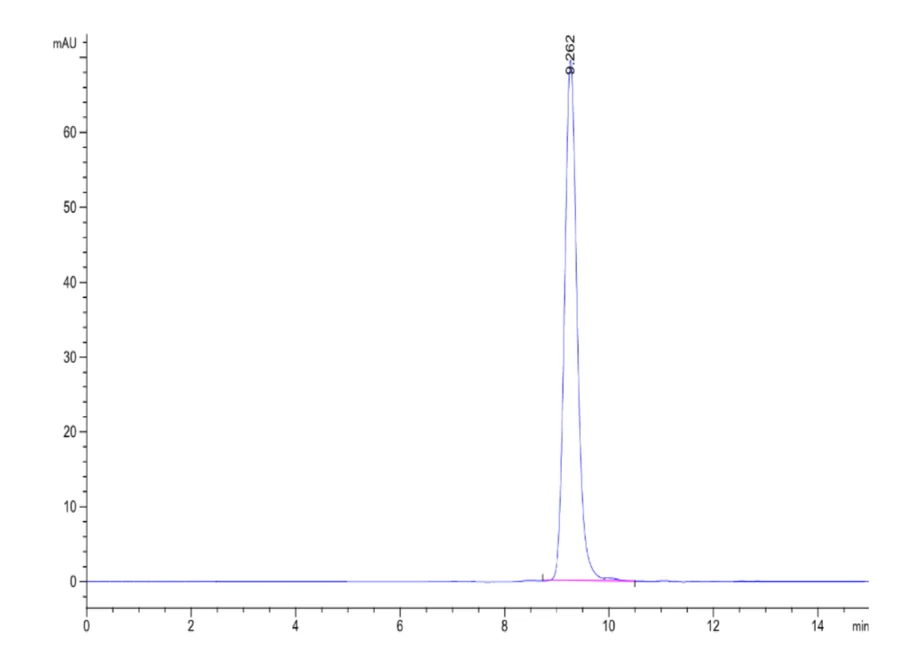 KRASG12V-HP002 SEC-HPLC result