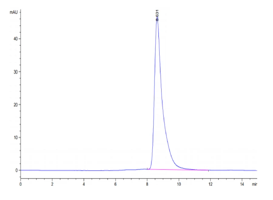 KRASG12V-HP004 SEC-HPLC result