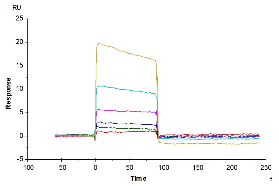 KRASG12V-HP004 SPR result