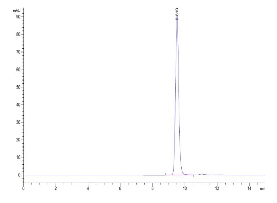 KRASWT-HP001 SEC-HPLC result