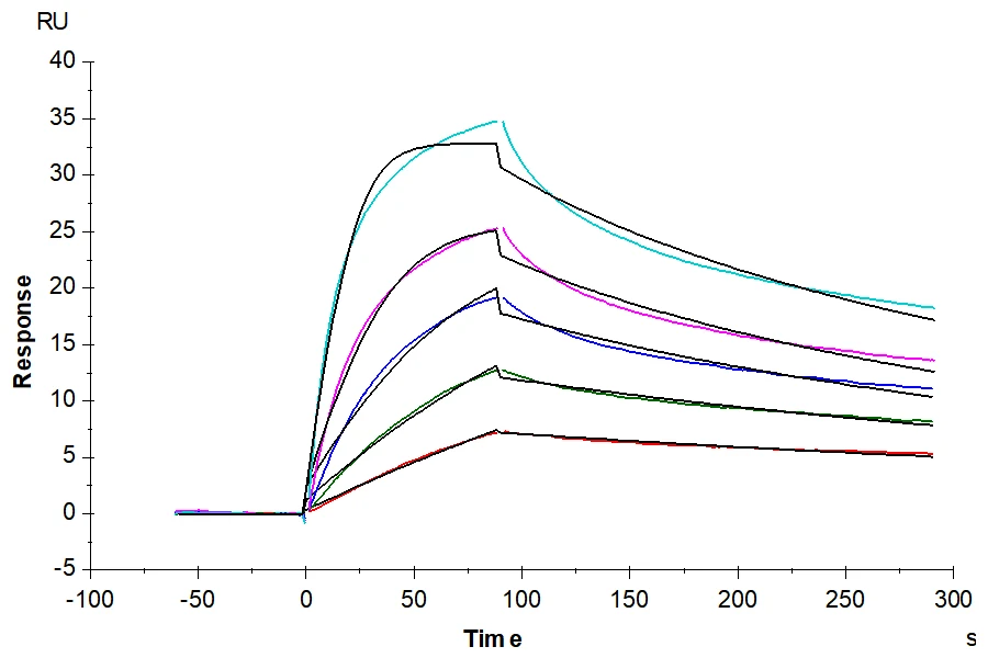 LDLR-HB002 SPR result