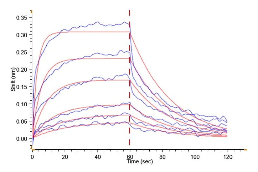 LILRB1-CP001 BLI result