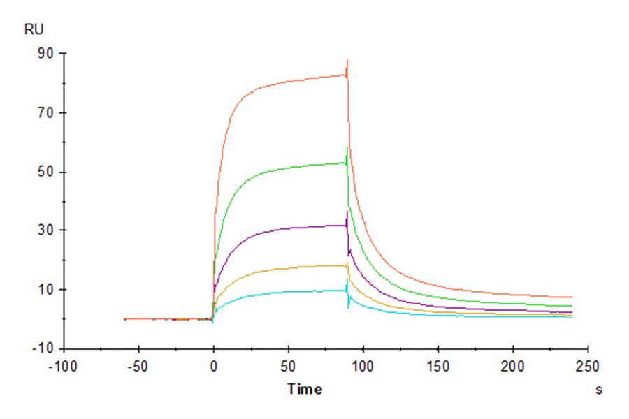 LILRB1-CP002 SPR result