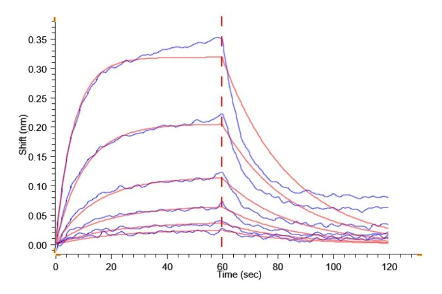 LILRB1-CP003 BLI result