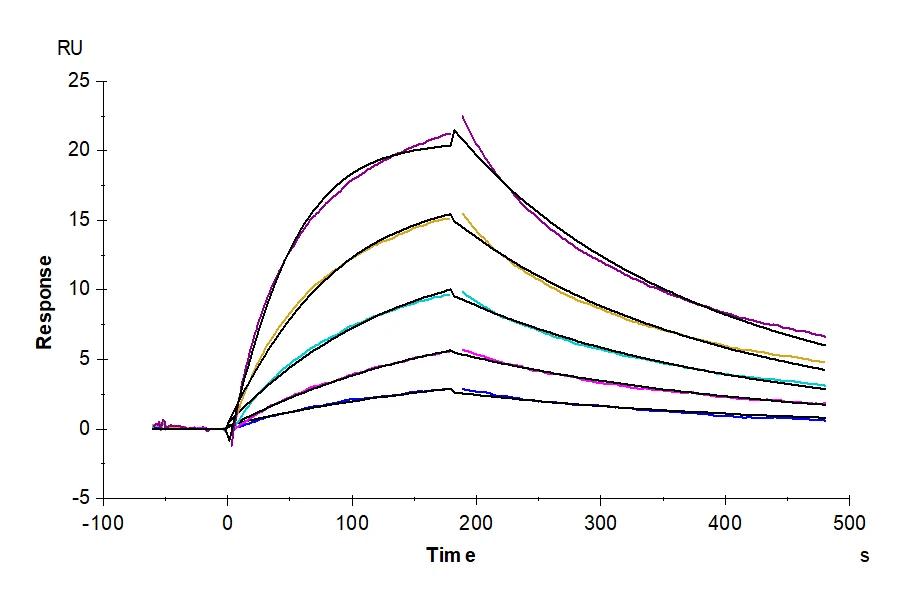 LILRB1-CP006 SPR-2 result