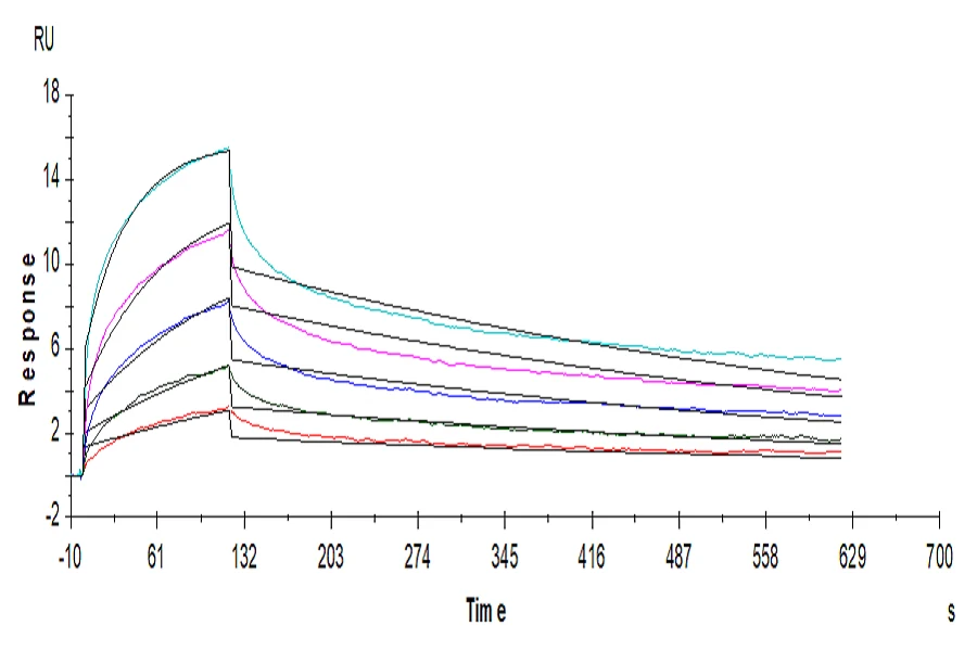 LILRB1-HP003 SPR result