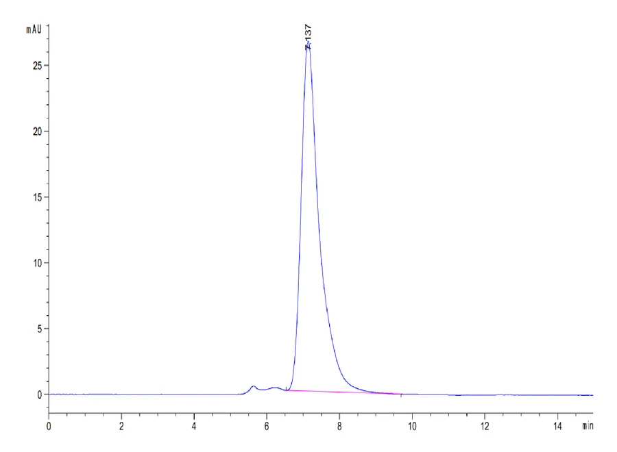LILRB1-HP004 SEC-HPLC result