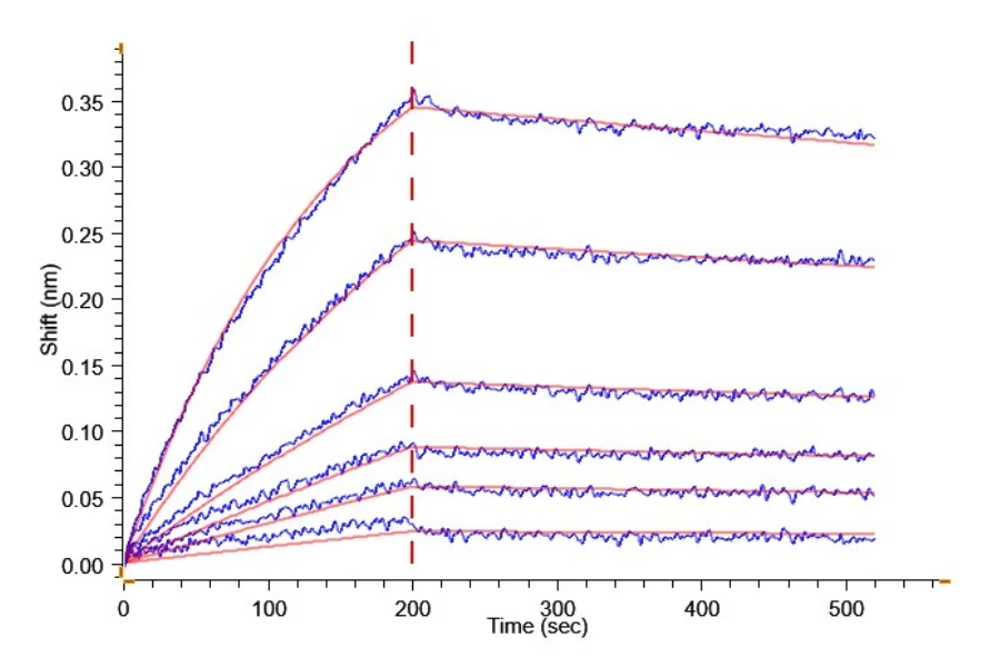 LILRB2-CP002 BLI result